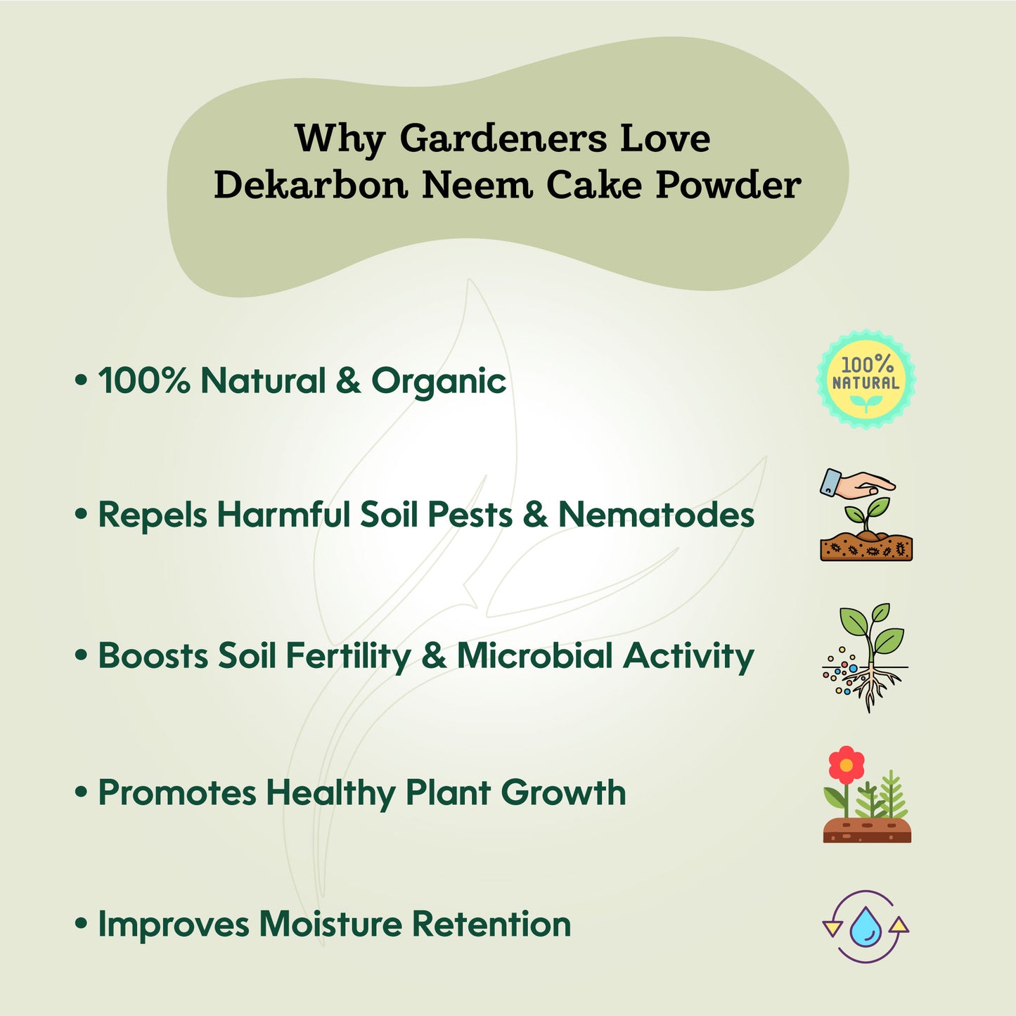 Neem Cake Powder